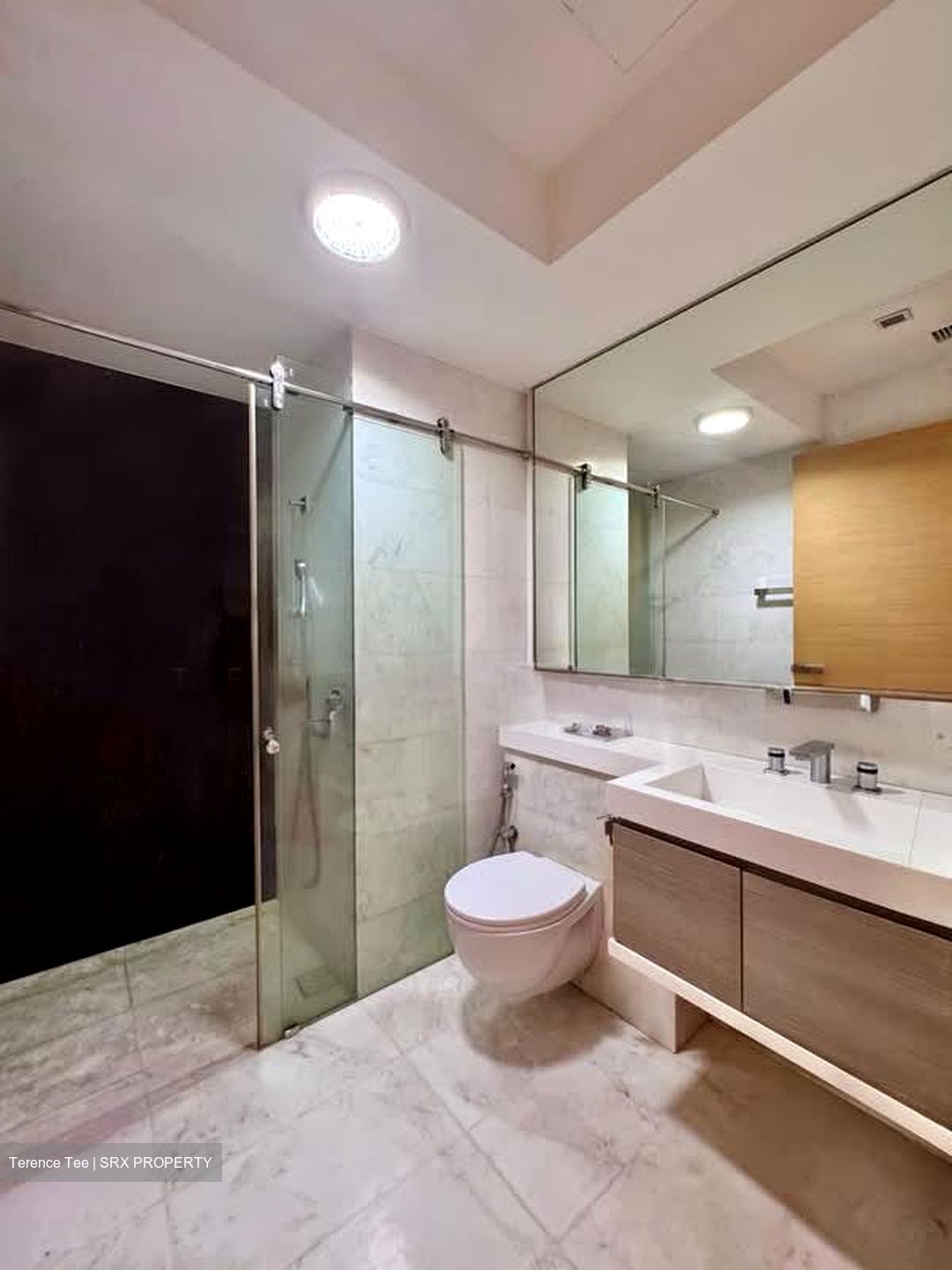 SilverSea (D15), Condominium #592050761